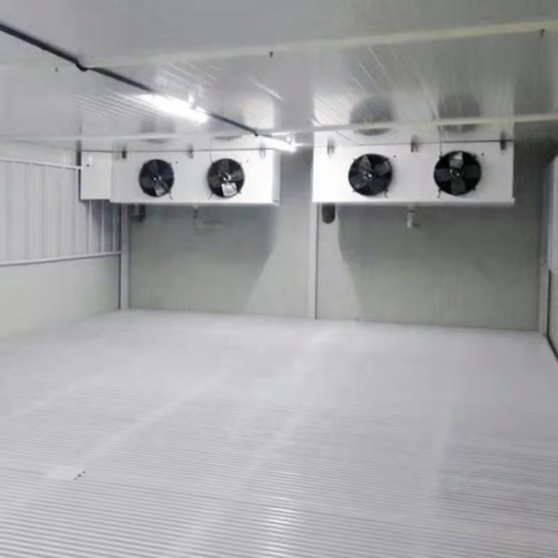 Walk In Refrigerator Cold Stor – Food Storage Technology recenzja i cena