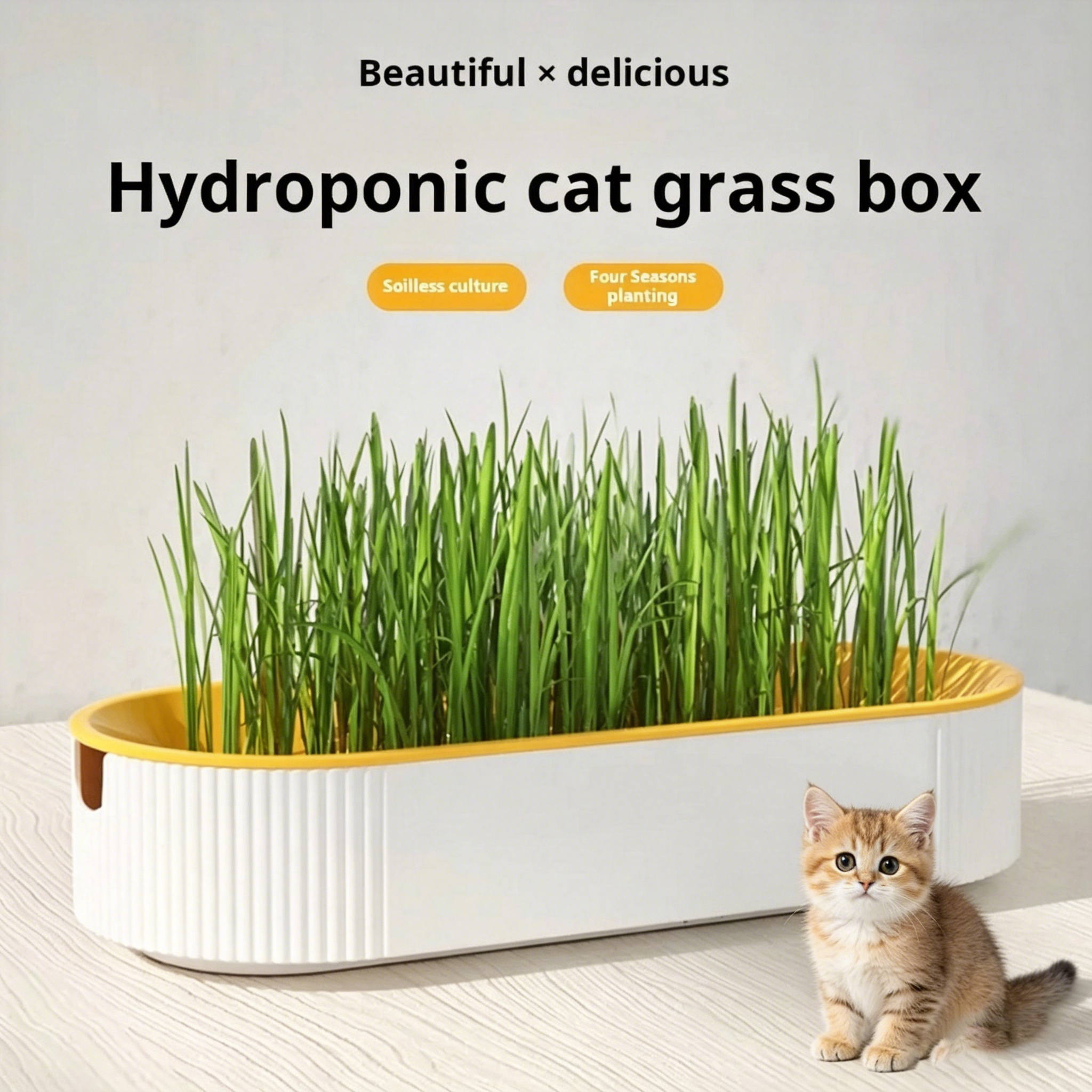Easy Growth Hydroponic Cat Gra – Food Storage Plants recenzja i cena