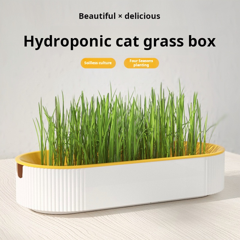 Easy Growth Hydroponic Cat Gra – Food Storage Plants recenzja i cena