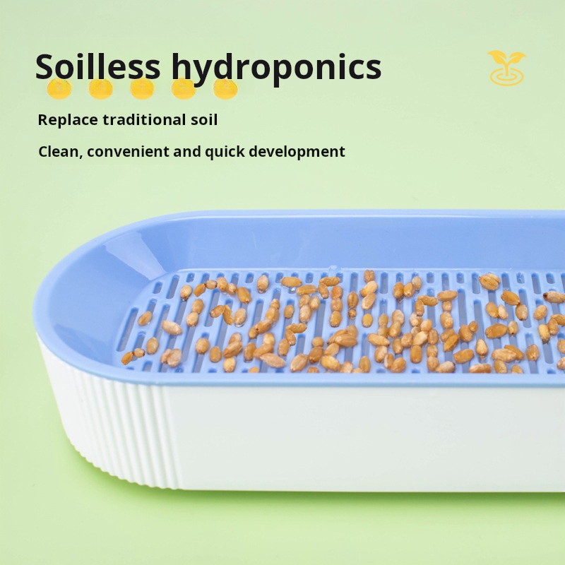 Easy Growth Hydroponic Cat Gra – Food Storage Plants recenzja i cena