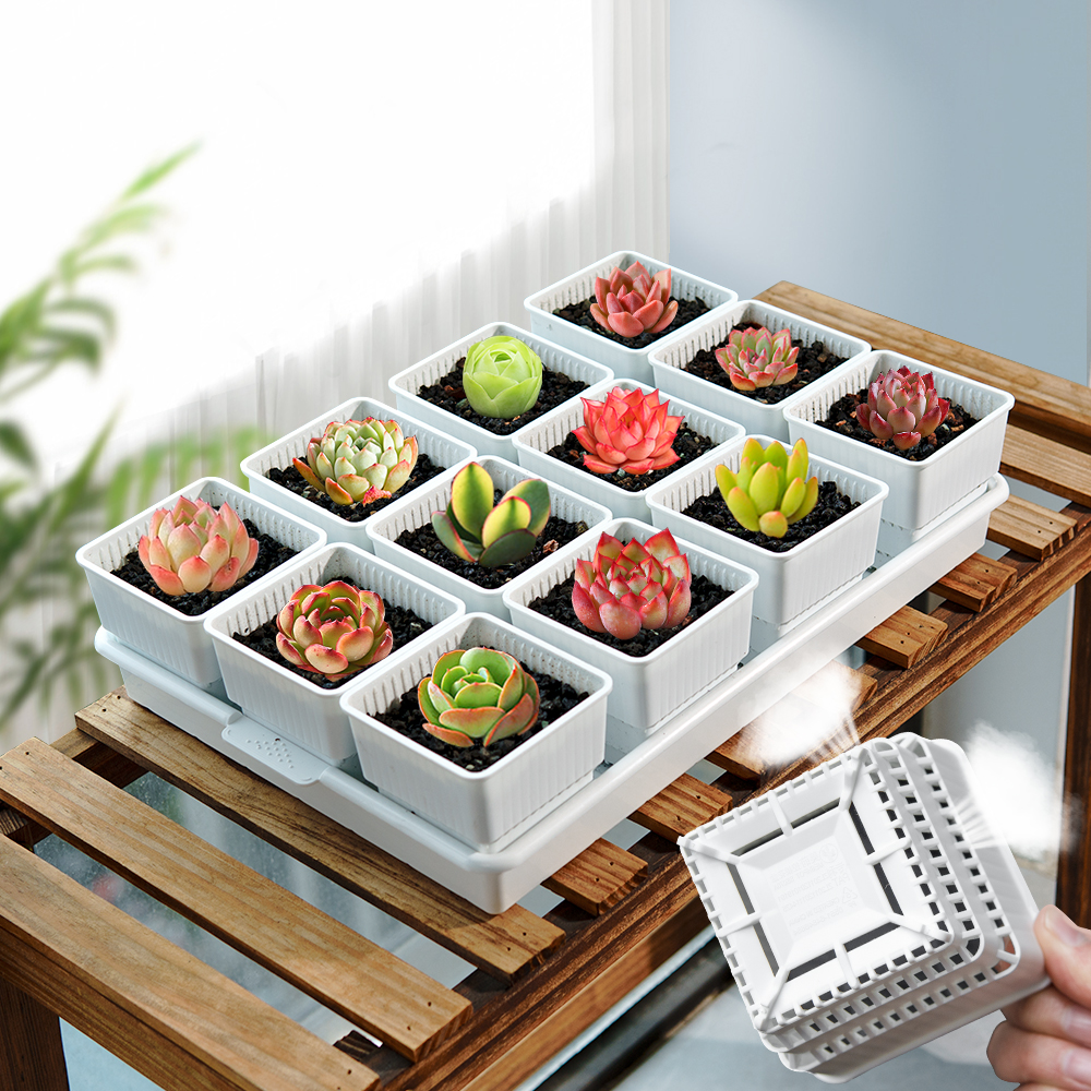 Meshpot Succulent Pot Plastic  – Food Storage Plants recenzja i cena