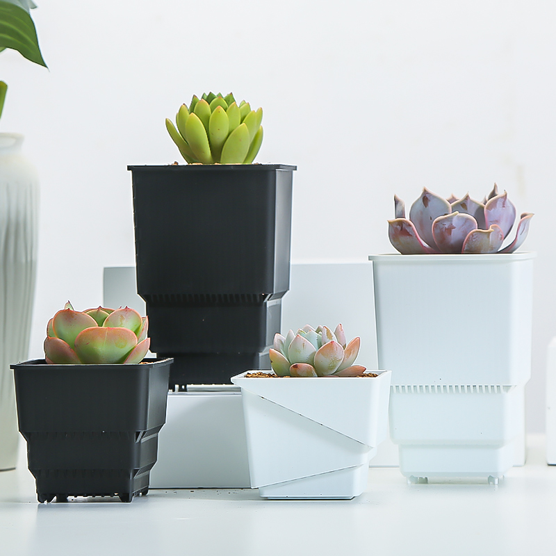 Meshpot Succulent Pot Plastic  – Food Storage Plants recenzja i cena