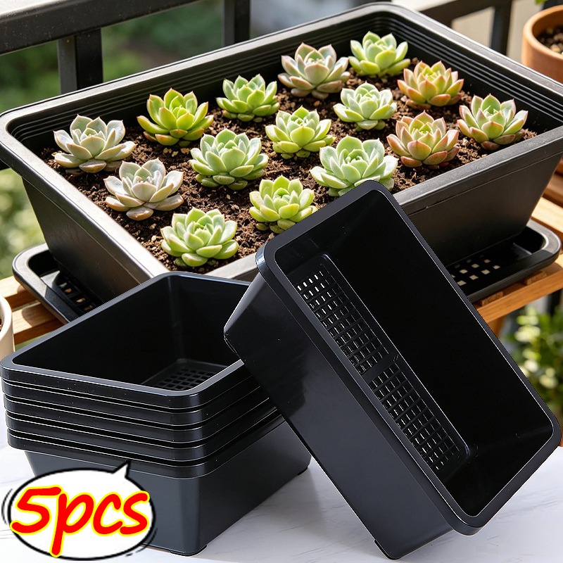 Succulent Plants Seedling Tray – Food Storage Plants recenzja i cena