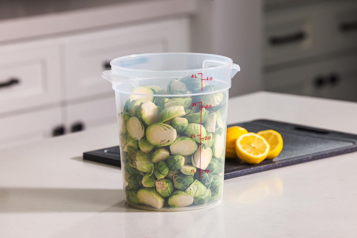 4 Quart Food Storage Container – Food Storage Quart Containers recenzja i cena