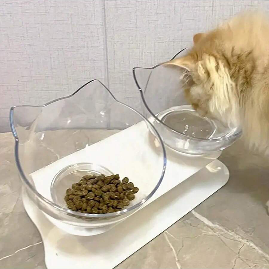 Pet Cat Bowl with Tilted Mouth – Food Storage Safety recenzja i cena