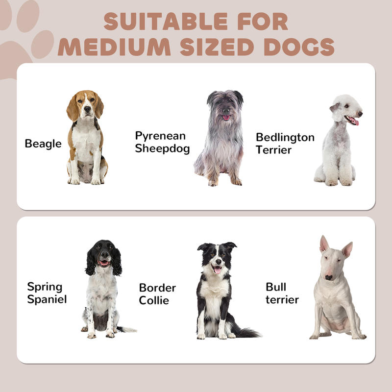 PawHut Pet Feeding Station, Do – Food Storage In Cabinets recenzja i cena