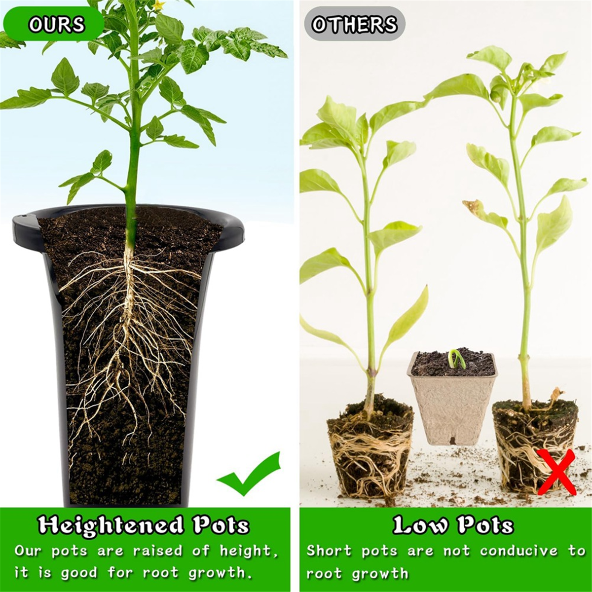 10Pcs Plastic Deep Plant Nurse – Food Storage Plants recenzja i cena