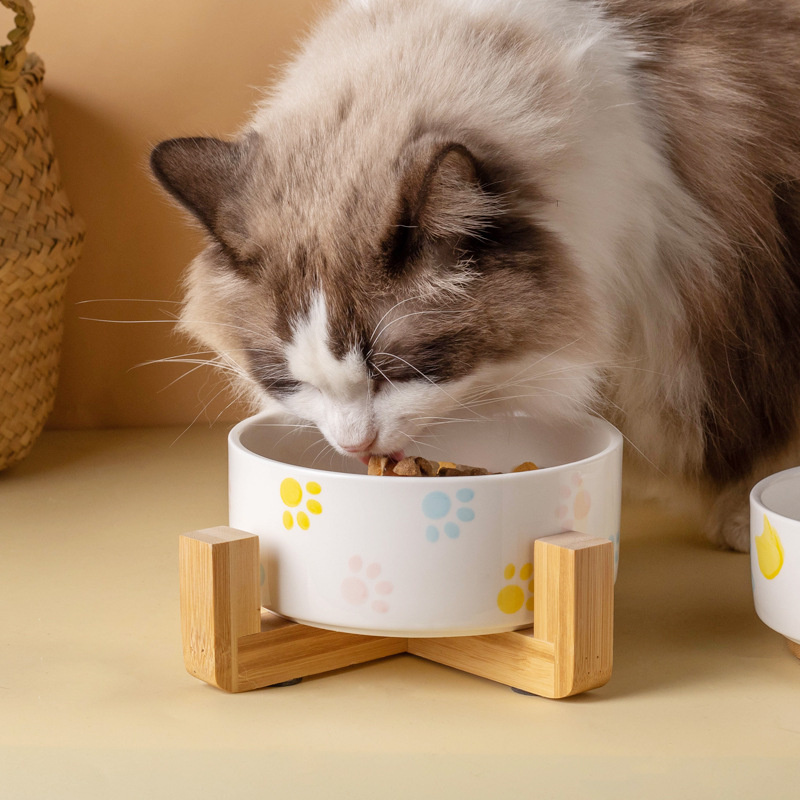 Ceramics Dog Bowl with Wood Ma – Food Storage Safety recenzja i cena