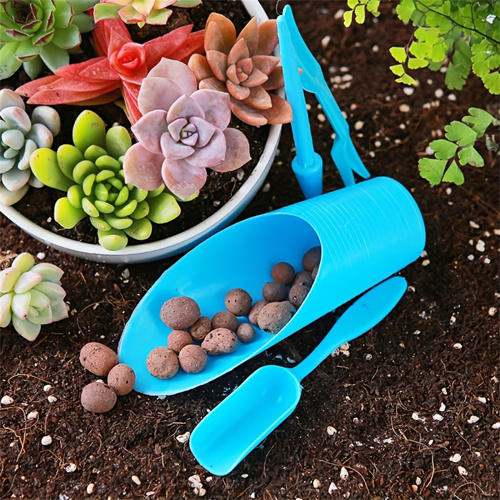 4-Piece Set of Succulent Garde – Food Storage Plants recenzja i cena