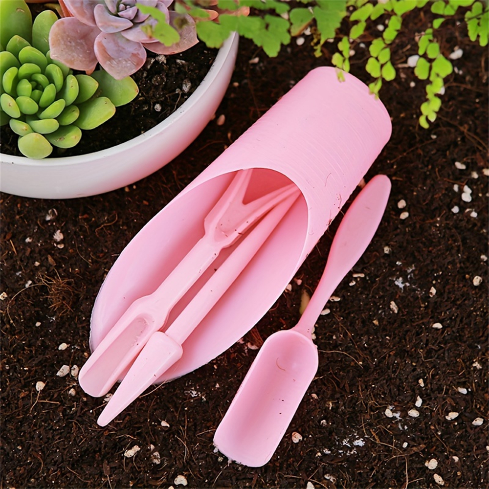 4-Piece Set of Succulent Garde – Food Storage Plants recenzja i cena