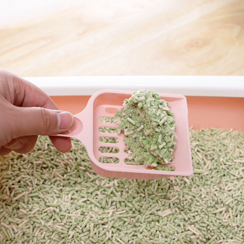 New Style High Value Cat Litte – Food Storage With Scoop recenzja i cena
