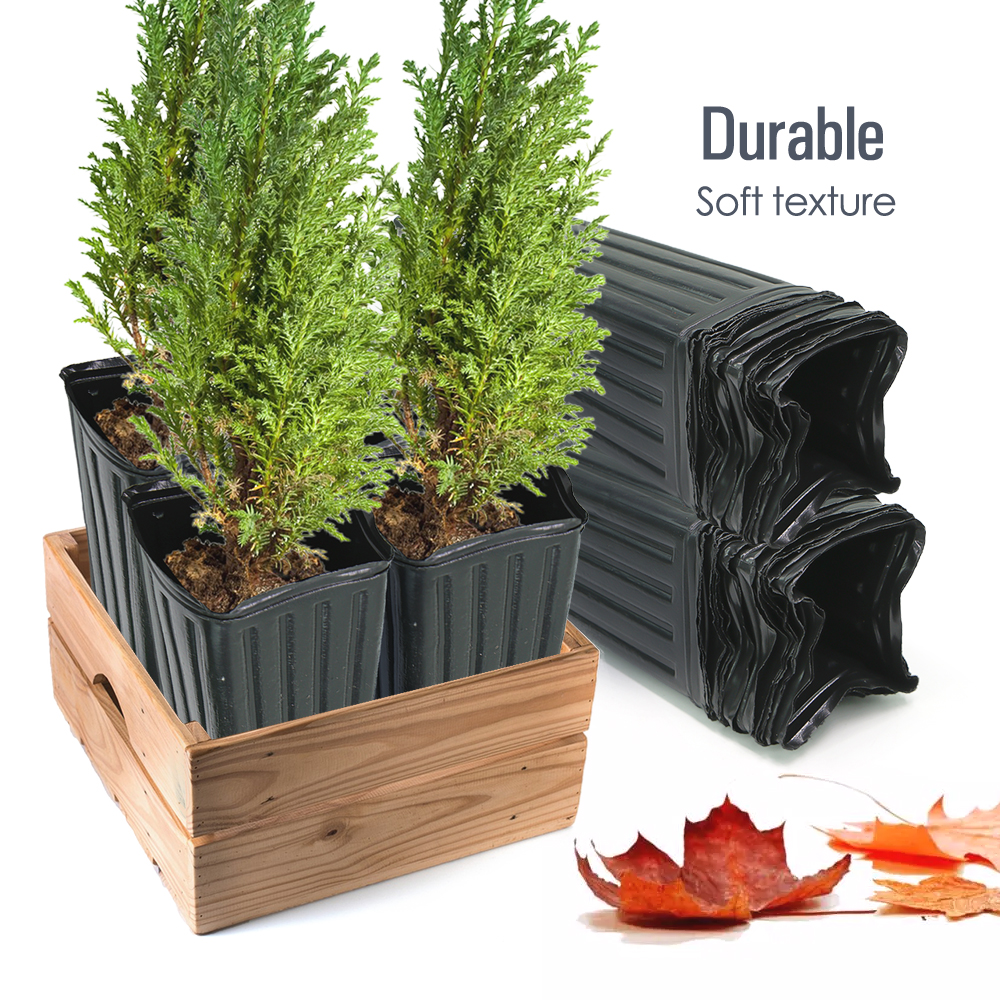 Square Tree Pot with Drainage  – Food Storage Plants recenzja i cena