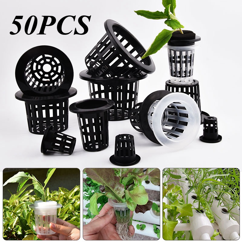 50Pcs Black White Soilless Mes – Food Storage Plants recenzja i cena