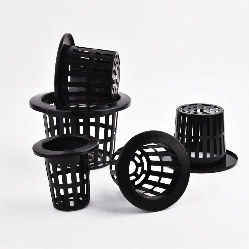 50Pcs Black White Soilless Mes – Food Storage Plants recenzja i cena