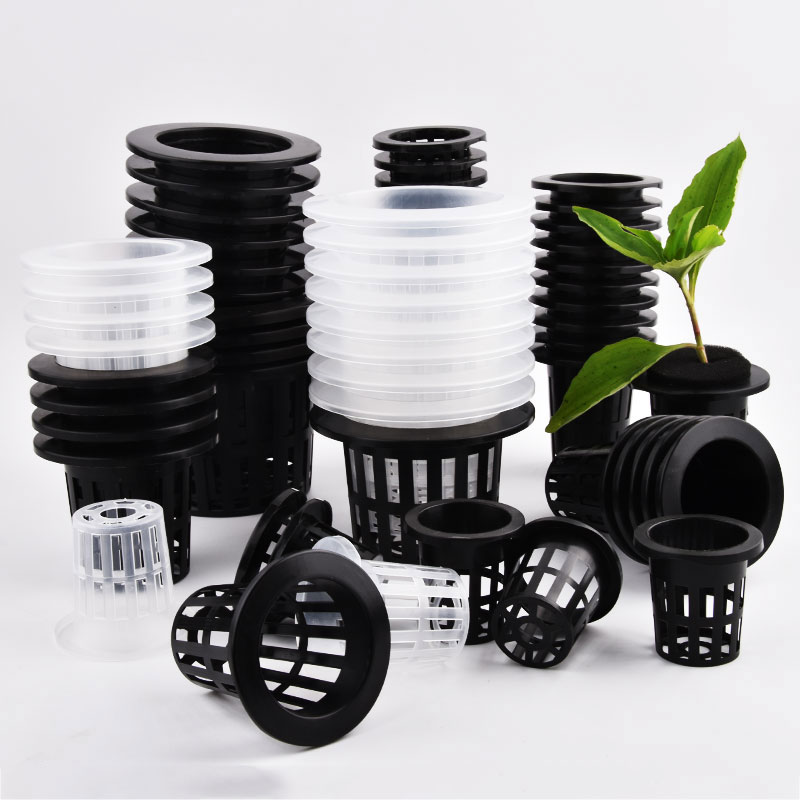 50Pcs Black White Soilless Mes – Food Storage Plants recenzja i cena