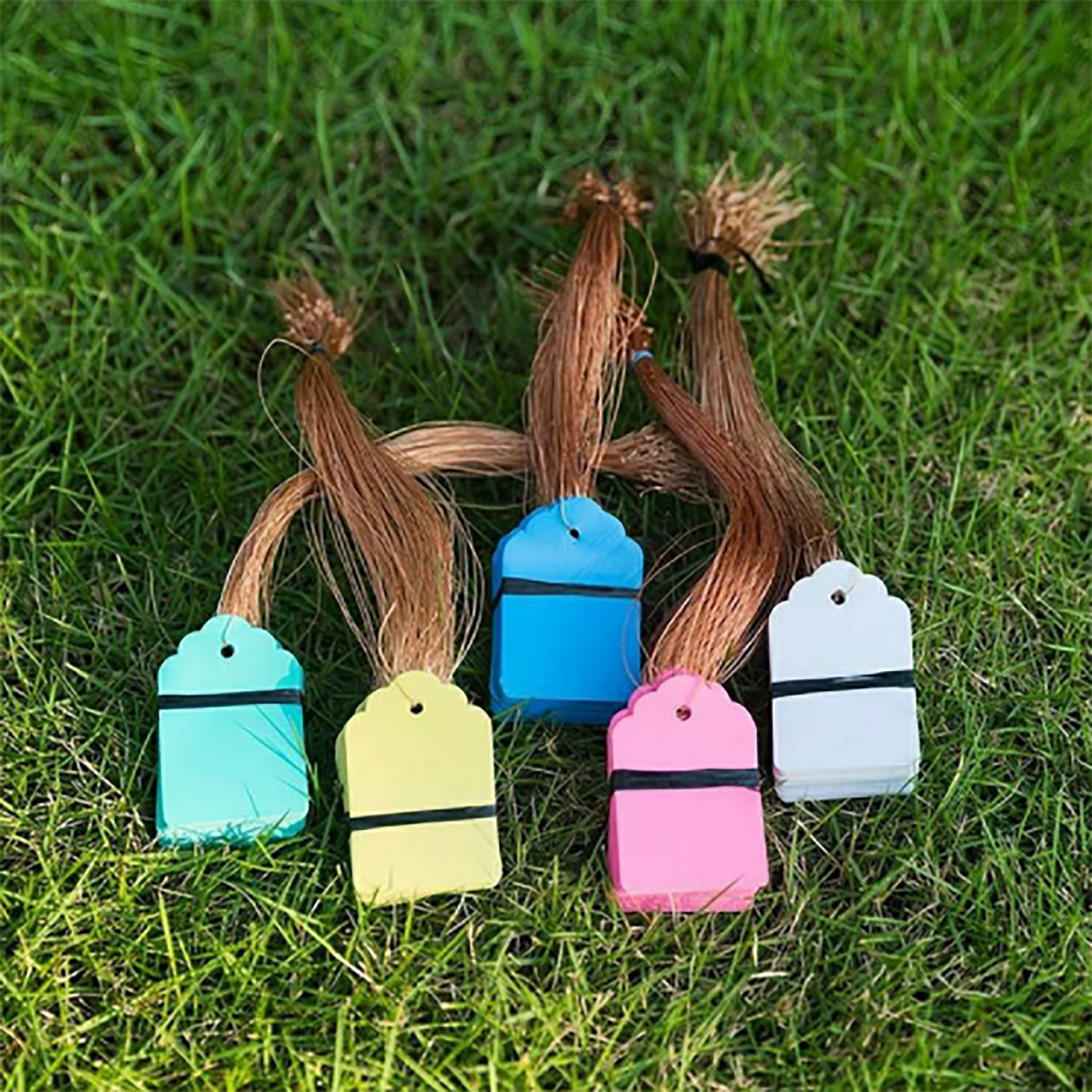 100Pcs/Lot Plants Hanging Plan – Food Storage Plants recenzja i cena