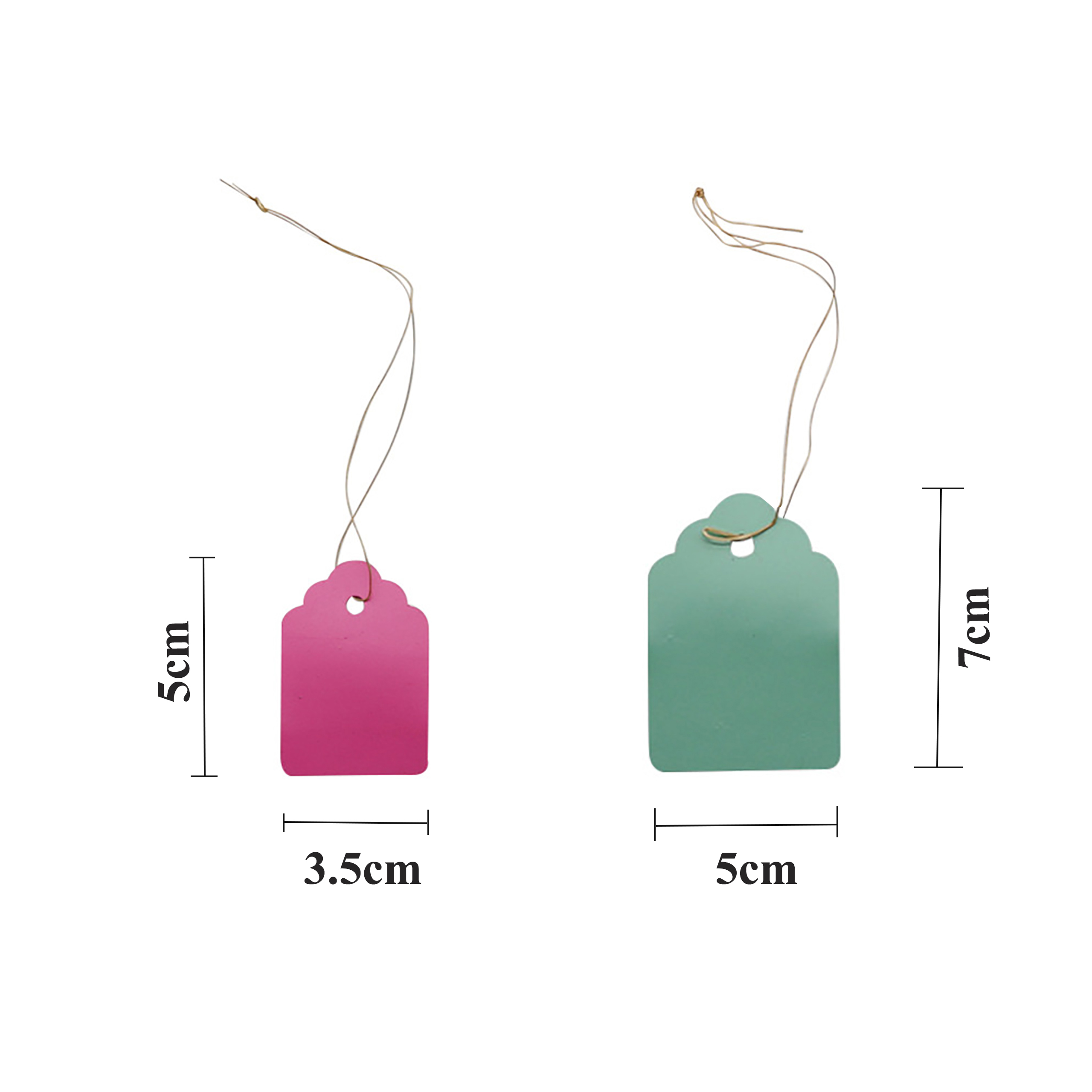 100Pcs/Lot Plants Hanging Plan – Food Storage Plants recenzja i cena