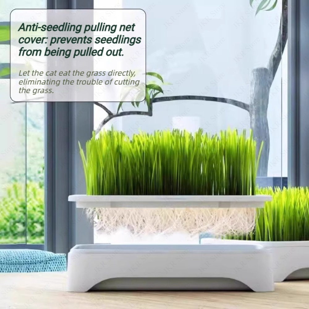 Indoor Pet Cat Grass Planter P – Food Storage Plants recenzja i cena