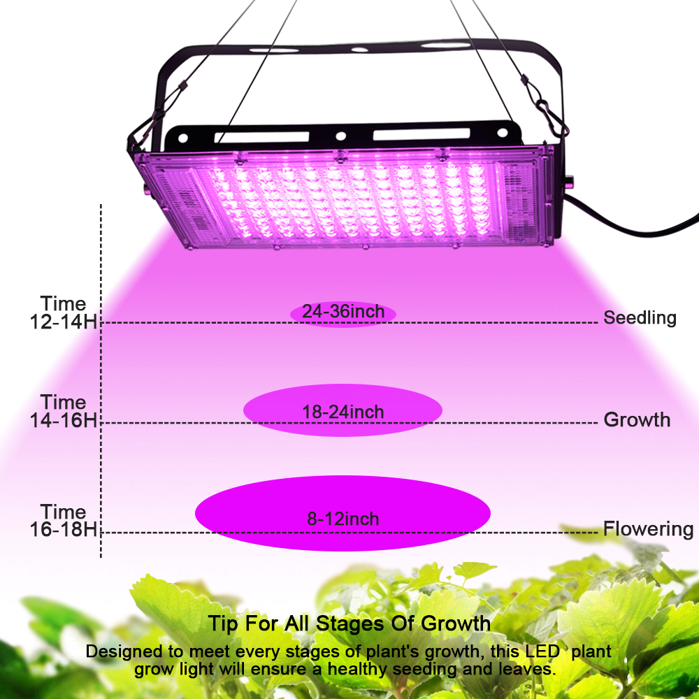 Full Spectrum LED Grow Light P – Food Storage Plants recenzja i cena
