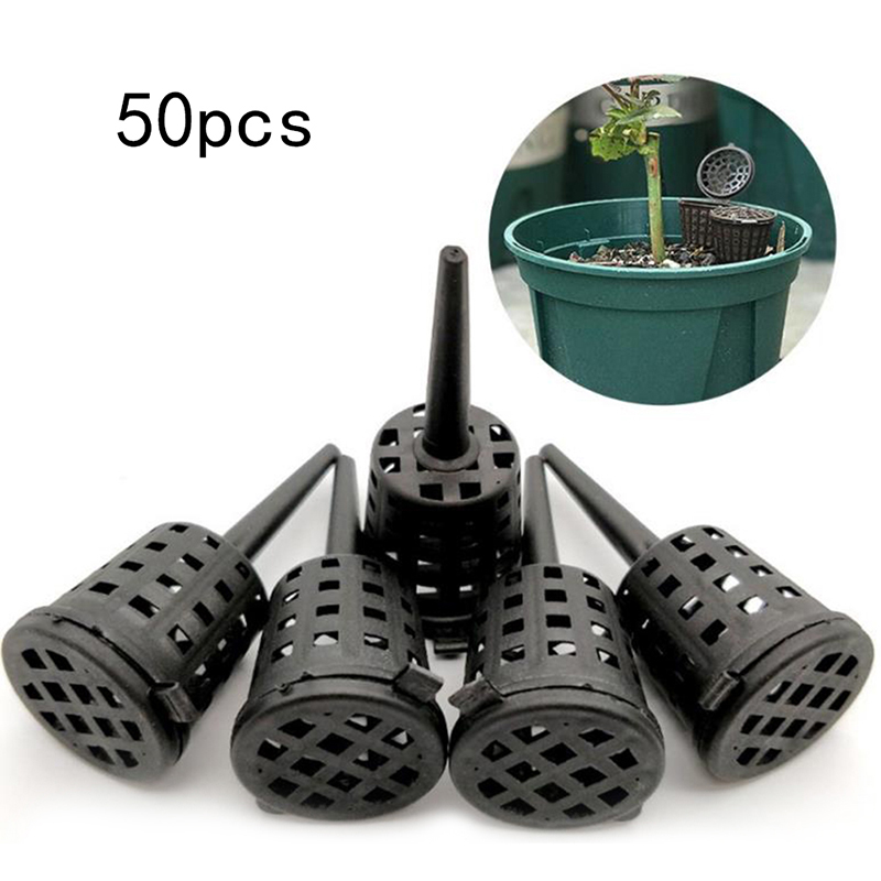 50 Pcs/pack Plants Fertilizer  – Food Storage Plants recenzja i cena
