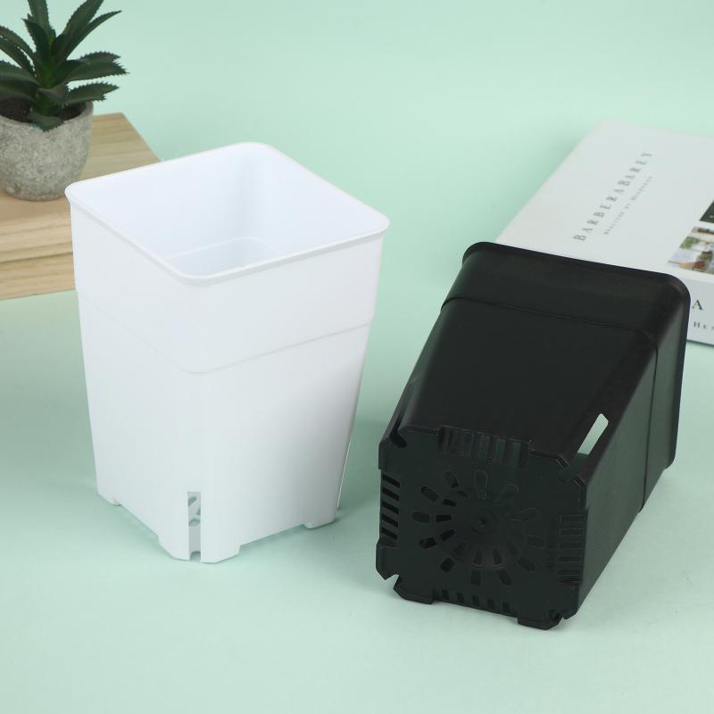 Seedling Pots Square Plastic P – Food Storage Plants recenzja i cena