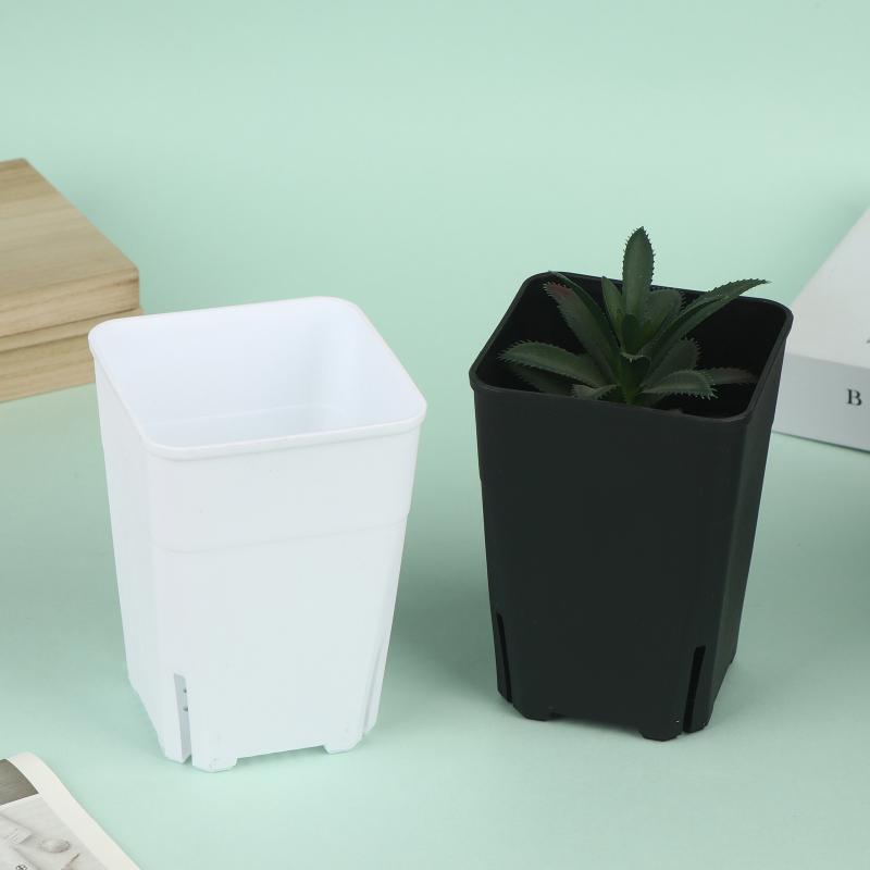 Seedling Pots Square Plastic P – Food Storage Plants recenzja i cena